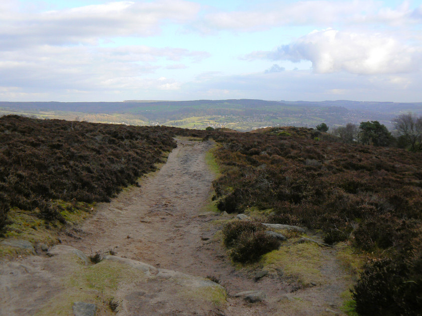 Farley Moor Farley Moor